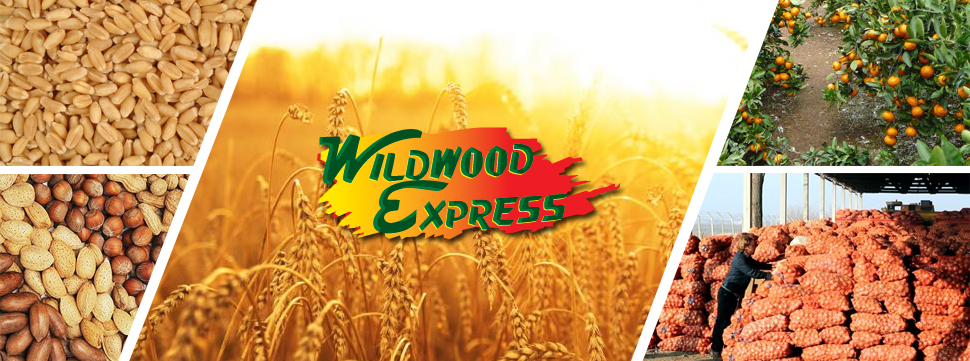 Wild Wood Express